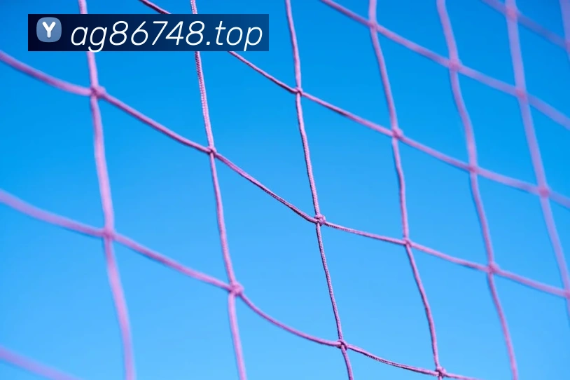 ag百家乐平台生态图